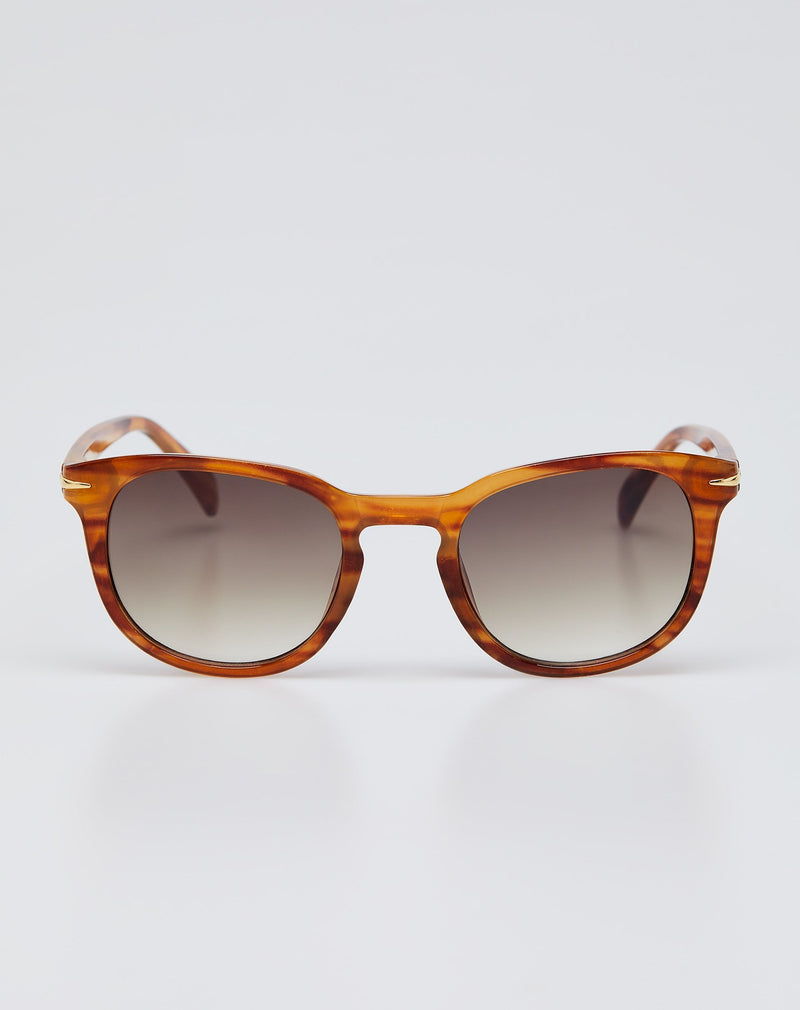 Óculos de Sol Arredondado Acetato - Tartaruga