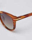 Óculos de Sol Arredondado Acetato - Tartaruga